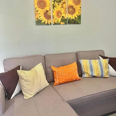 Pergola House - Typical House *