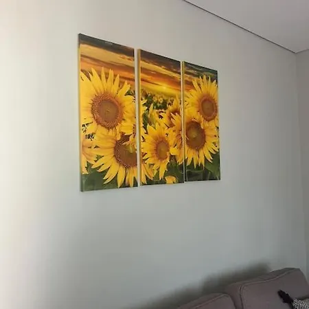 Pergola House - Typical House * Porto